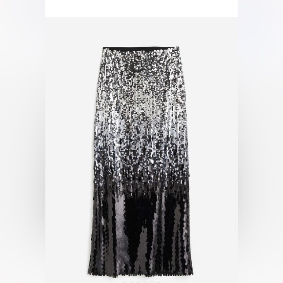 H&M Sequined Maxi Skirt - Picture 6 of 8